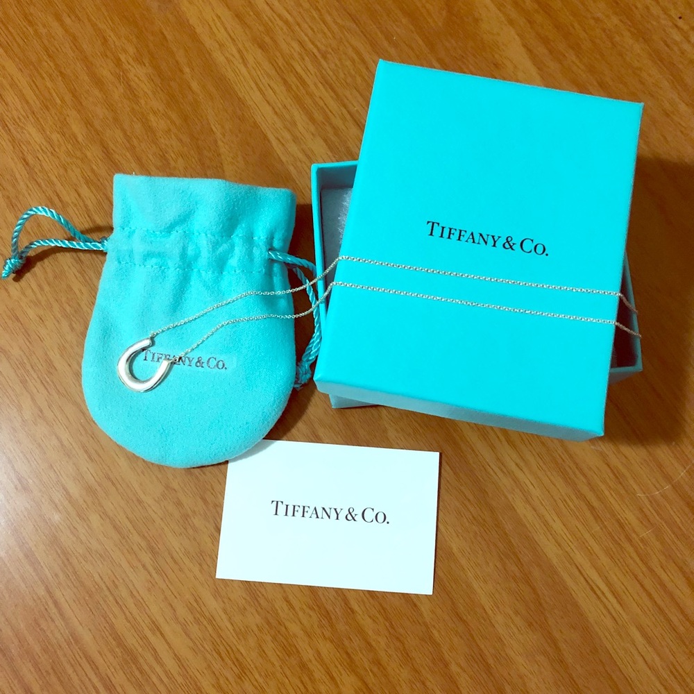 Tiffany & Co Horseshoe Necklace
